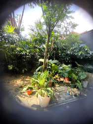 Capitol Park (D11), Semi-Detached #601547081